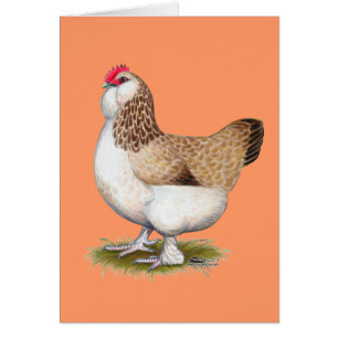 Salmon Faverolle Hen