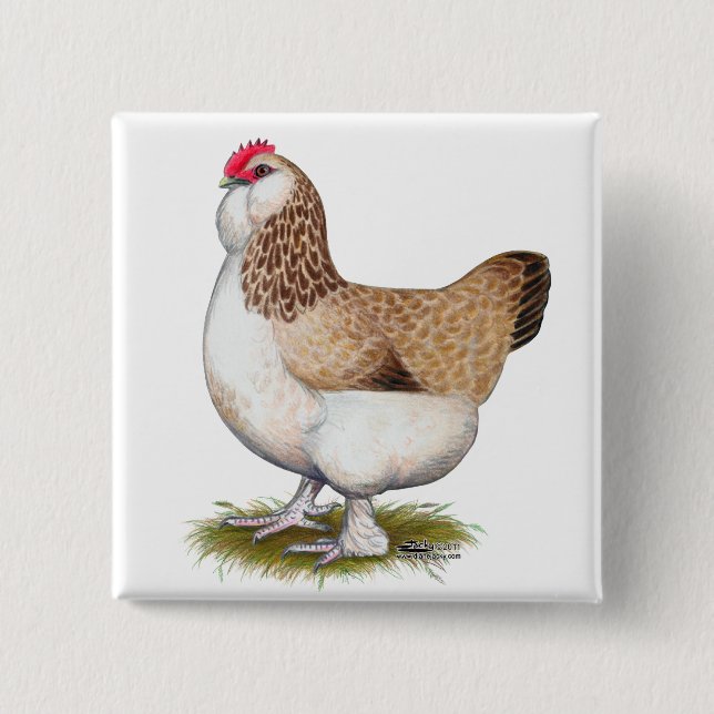 Salmon Faverolle Hen 15 Cm Square Badge (Front)