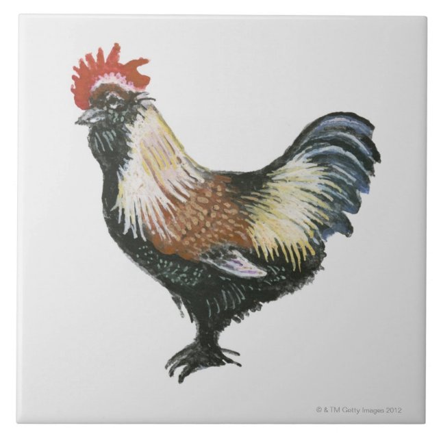 Salmon Faverolles Chicken Tile (Front)