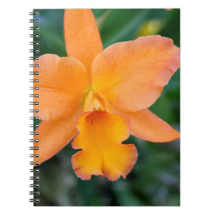 Salmon Orchid Notebook