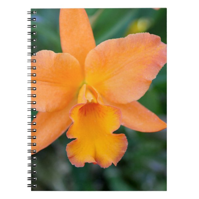 Salmon Orchid Notebook (Front)