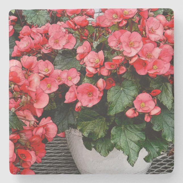 SALMON-PINK IMPATIENS IN WHITE POT STONE COASTER (Front)
