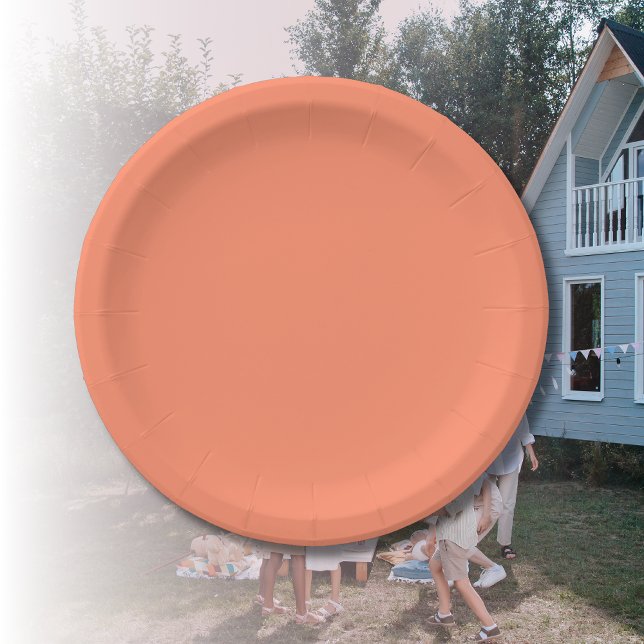Salmon Pink Solid Colour | Trendy Colour Paper Plate (Creator Uploaded)