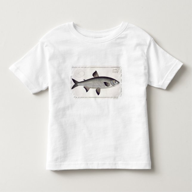 Salmon (Salmo Maraena) plate XXVII from 'Ichthyolo Toddler T-Shirt (Front)