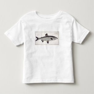 Salmon (Salmo Maraena) plate XXVII from 'Ichthyolo Toddler T-Shirt