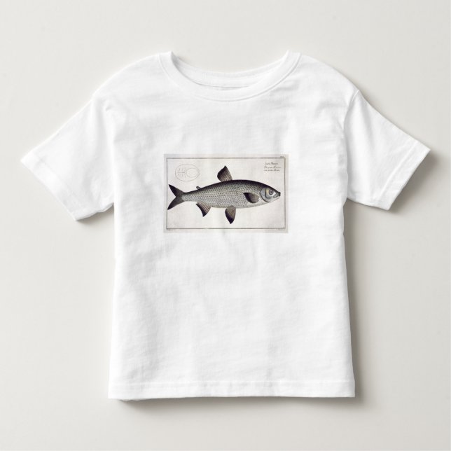 Salmon (Salmo Maraena) plate XXVII from 'Ichthyolo Toddler T-Shirt (Front)
