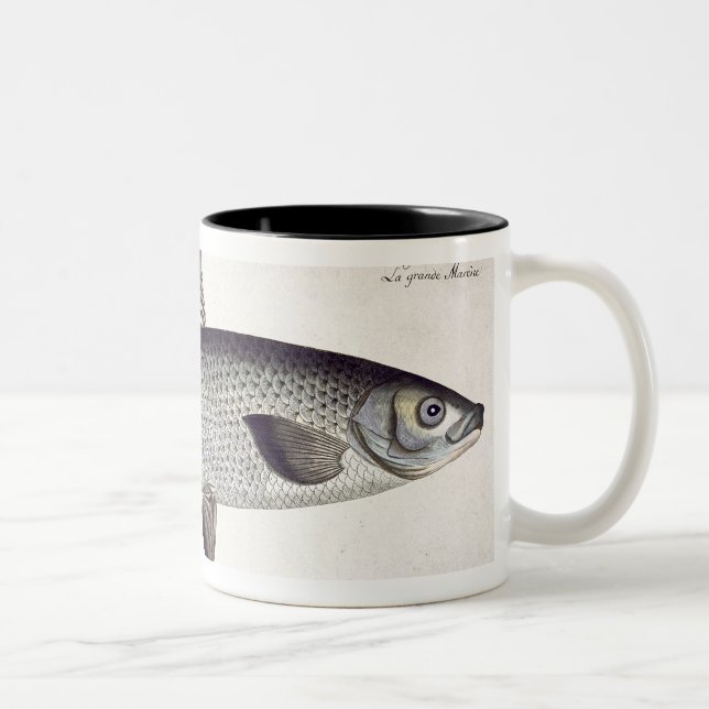 Salmon (Salmo Maraena) plate XXVII from 'Ichthyolo Two-Tone Coffee Mug (Right)