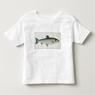 Salmon (Salmo Salar) plate XX from 'Ichthyologie, Toddler T-Shirt