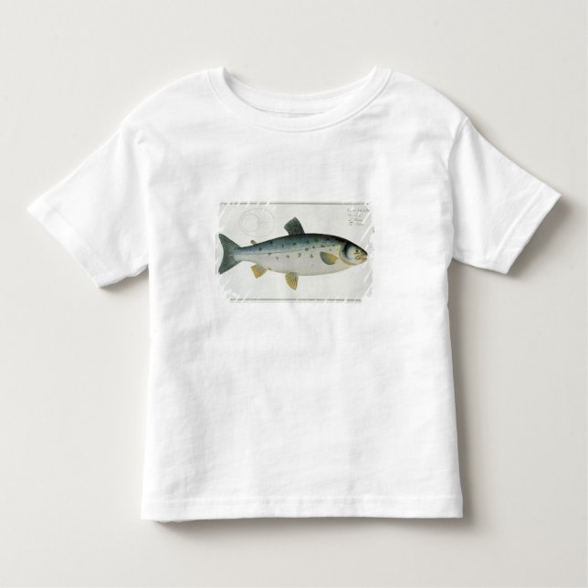 Salmon (Salmo Salar) plate XX from 'Ichthyologie, Toddler T-Shirt (Front)