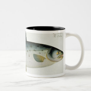 Salmon (Salmo Salar) plate XX from 'Ichthyologie, Two-Tone Coffee Mug