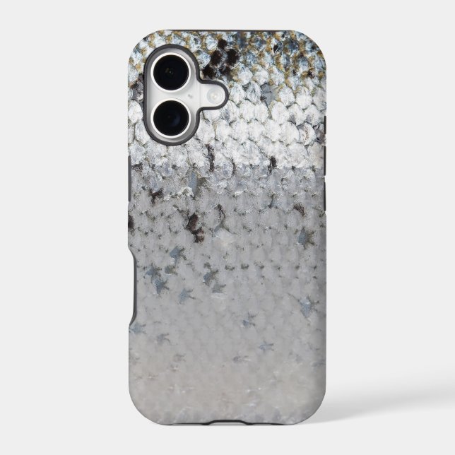 Salmon Scale (Back)