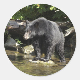 "Salmon Spotting" Black Bear Gifts Classic Round Sticker