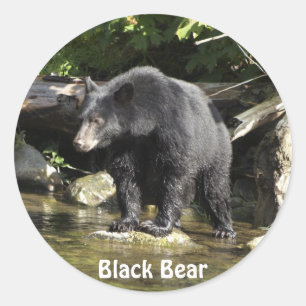 "Salmon Spotting" Black Bear Sticker Gifts