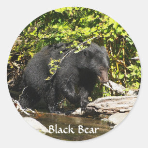 "Salmon Spotting" Black Bear Wildlife Stickers