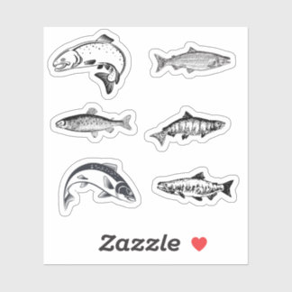 Salmon Stickers