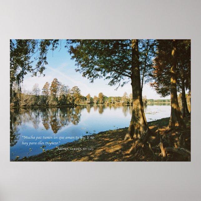 Salmos 119:165 poster (Front)