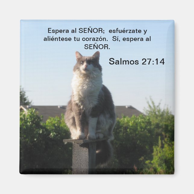 Salmos 27:14 y gato magnet (Front)