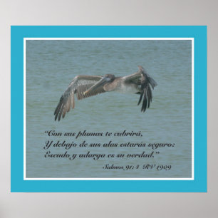 Salmos 91:4 con Pelicano Volando (Cartel) Poster