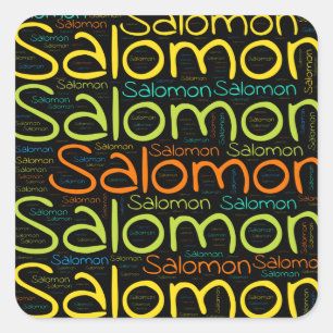 Salomon Square Sticker