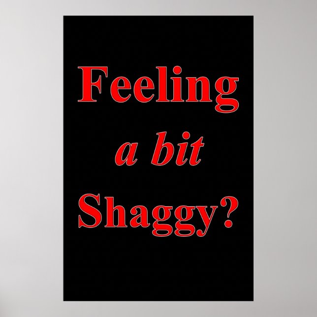 Salon Barbershop Posters Feeling a Bit Shaggy (Front)