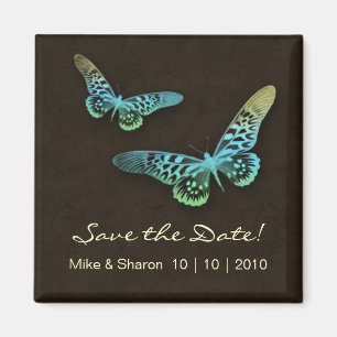 Salon Spa Butterfly Magnet Brown Blue Yellow