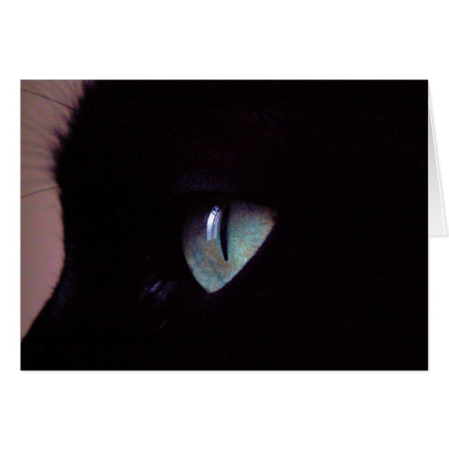 Salsa Super Zen (Front Horizontal)