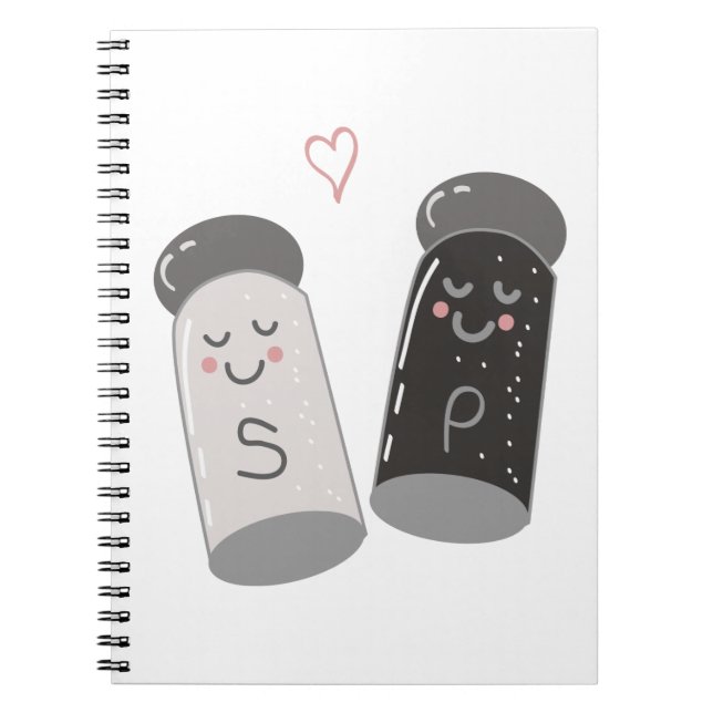 Salt And Pepper Notebook (Front)