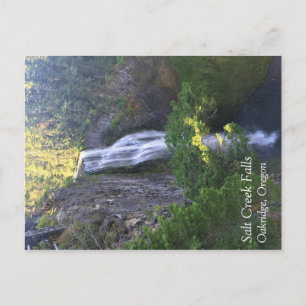Salt Creek Falls, Oregon Postcard
