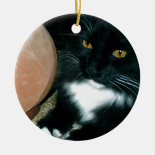 Salt Globe and Cat Psychic - Photograph Ceramic Tree Decoration