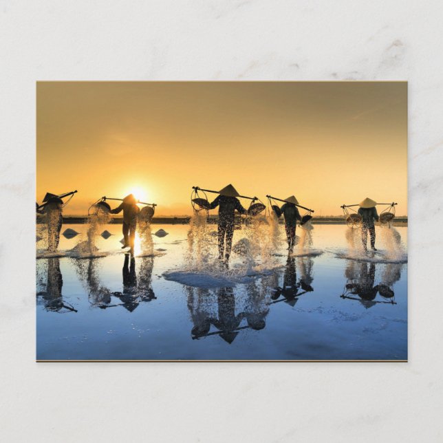 Salt Harvesting in Vietnam Postcard (Front)