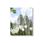 Salt Lake City LDS Temple