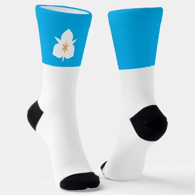 Salt Lake City (Utah) city flag Socks (Angled)