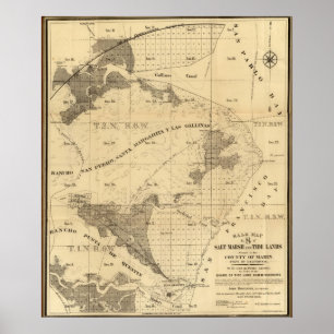 Salt marsh and tide lands poster