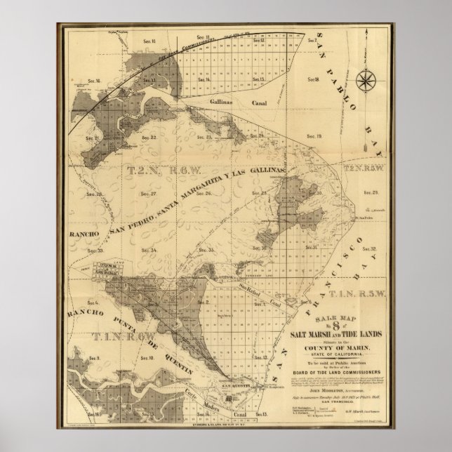 Salt marsh and tide lands poster (Front)