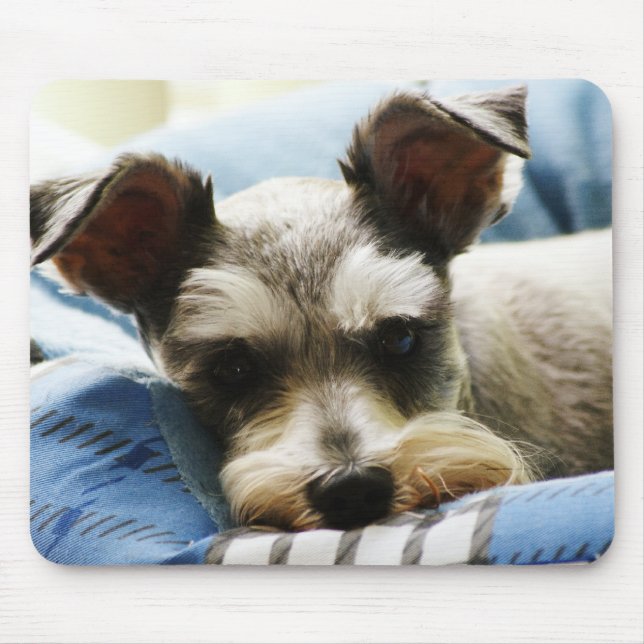 Salt & Pepper Mini Schnauzer Mouse Pad (Front)