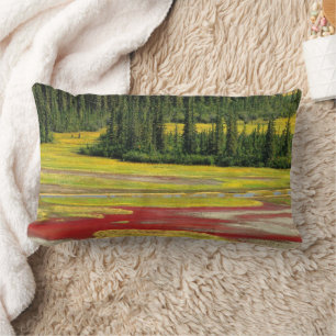 Salt Plain & Forest   Wood Buffalo National Park Lumbar Cushion