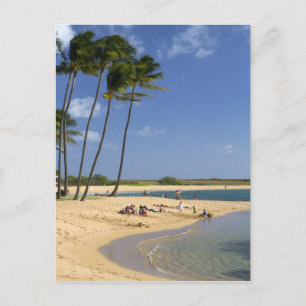 Salt Pond Park located on the island of Kauai Postcard