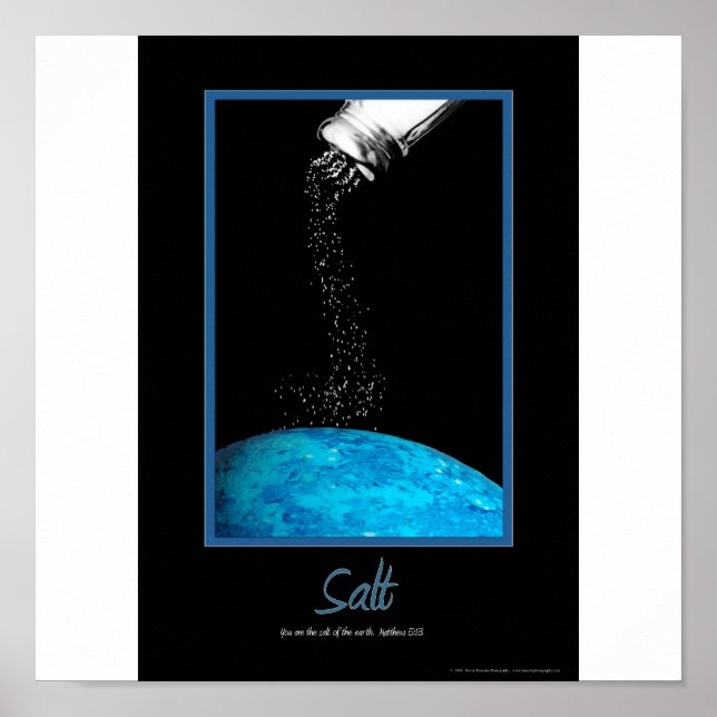 Salt Poster (Front)
