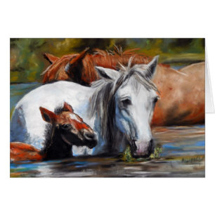 Salt River Foal