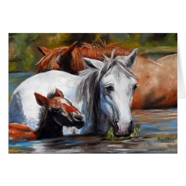 Salt River Foal (Front Horizontal)