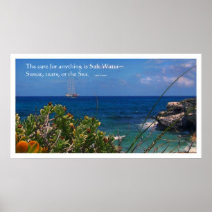 Salt Water Cure Island and Ship Poster