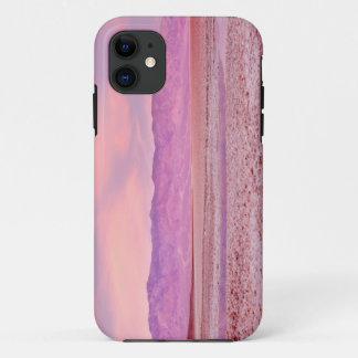 Salt Water Lake Death Valley iPhone 11 Case
