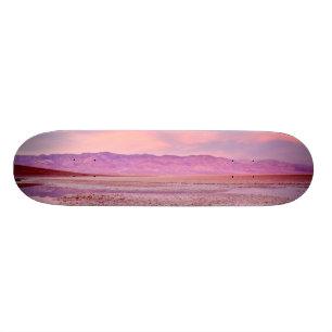 Salt Water Lake Death Valley Skateboard