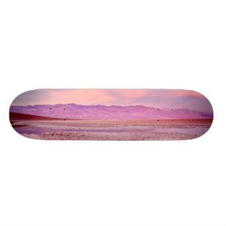 Salt Water Lake Death Valley Skateboard