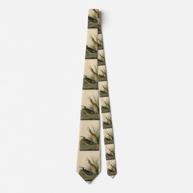Salt Water Marsh Hen - Audubon's Birds of America Tie (Front)