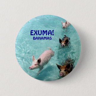Salt Water Swimming Pigs button