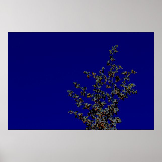Saltbush Atriplex Leaf Nature Minimalistic Poster (Front)