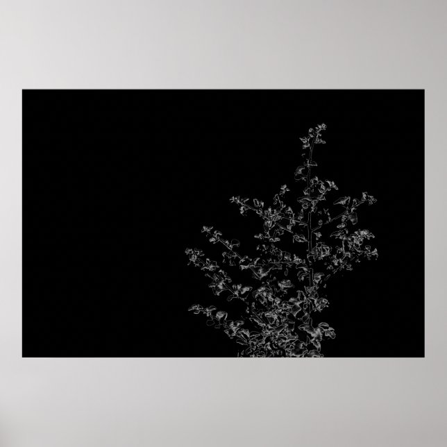 Saltbush Atriplex Leaf Nature Minimalistic Poster (Front)