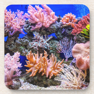 Saltwater Aquarium - Coral Reef Coaster