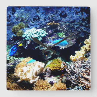 Saltwater aquarium Square clock